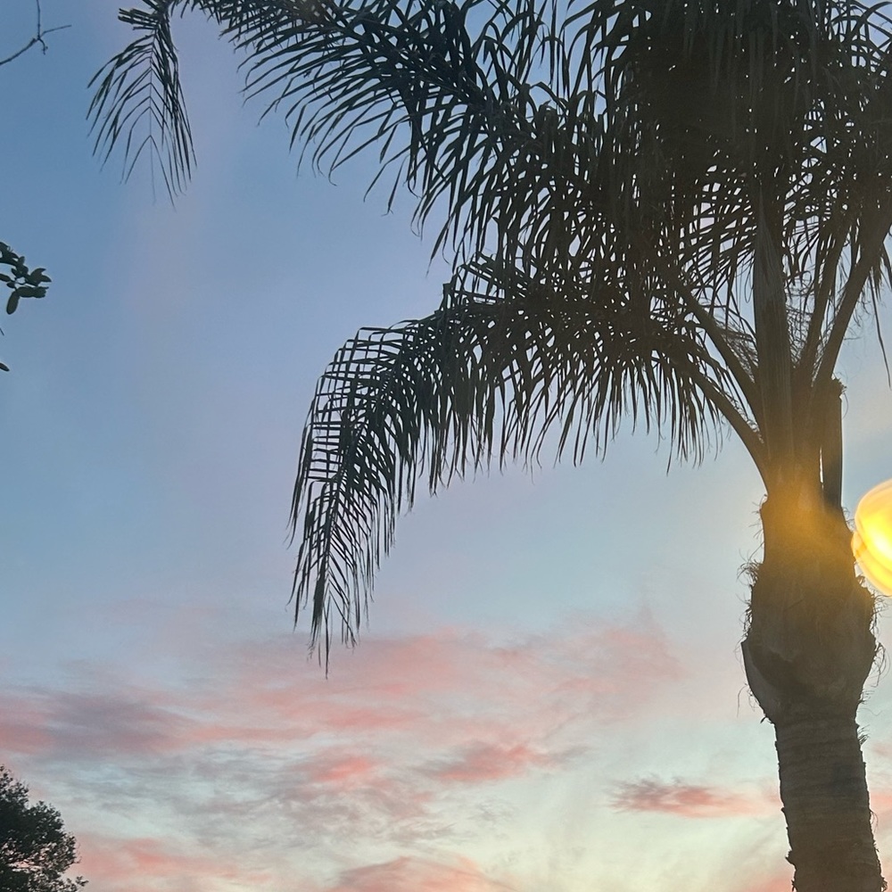 Meet your Posher, Gabriela